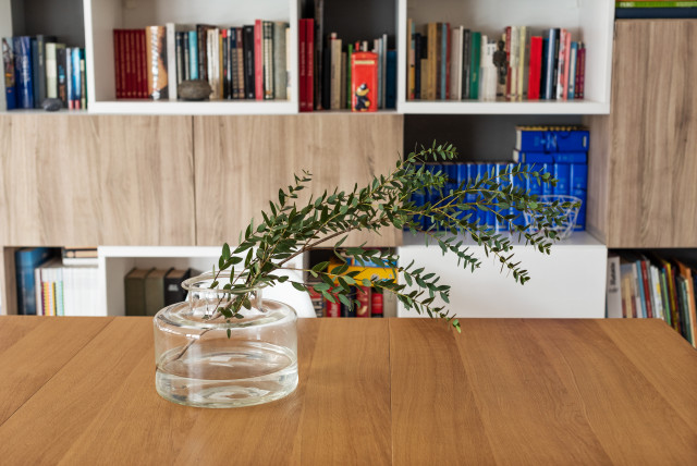 Sal&oacute;n Valverde skandinavisk-vardagsrum