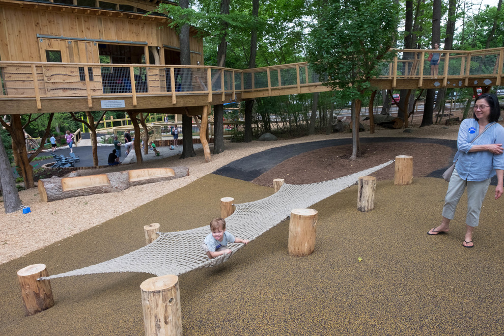 Discovery Woods