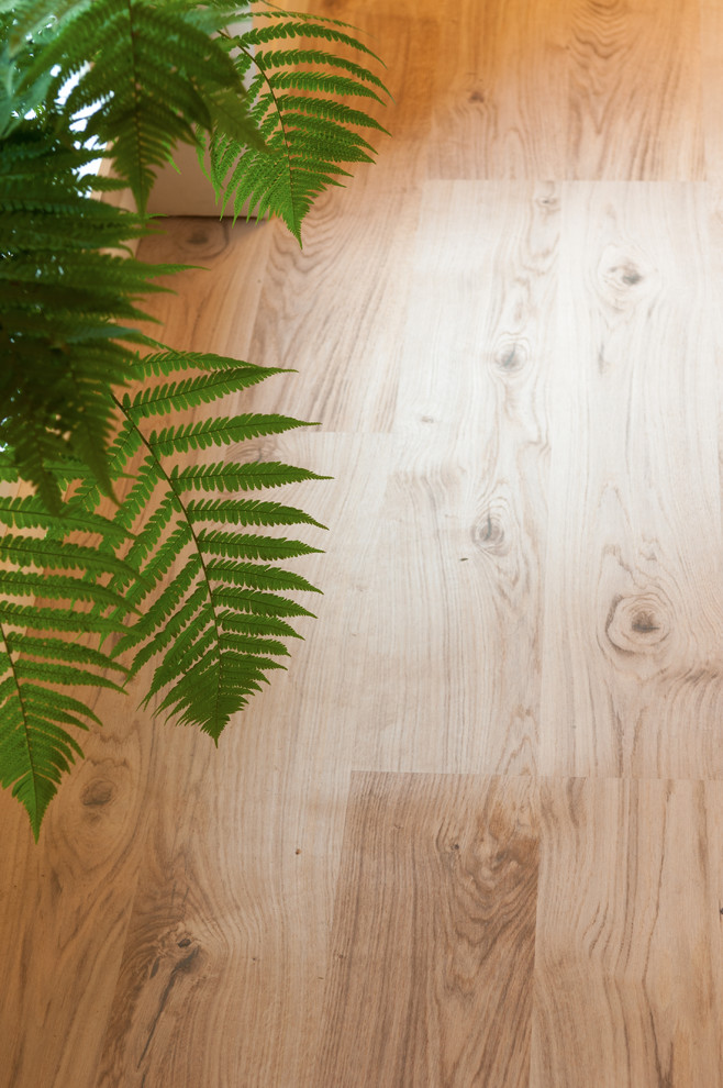 ВОЛШЕБНЫЙ ЛЕС. Фазенда