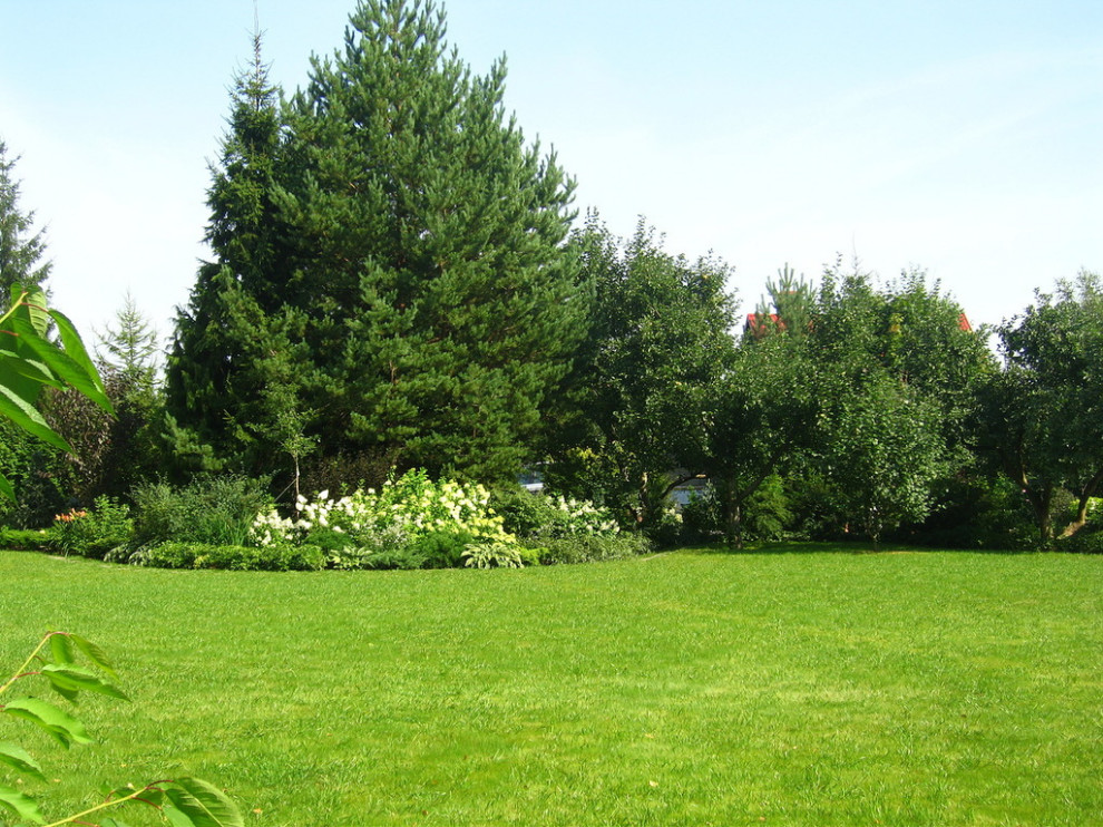 Сад и цветник в английском стиле