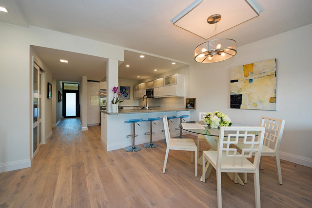 Hyde Park contemporary-kitchen