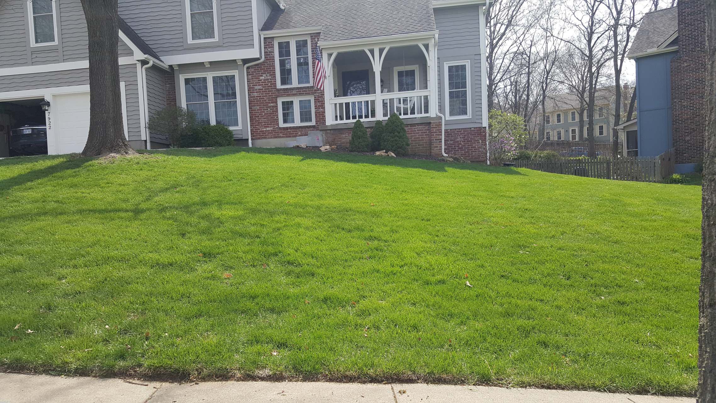 BEFORE Lenexa planter beds