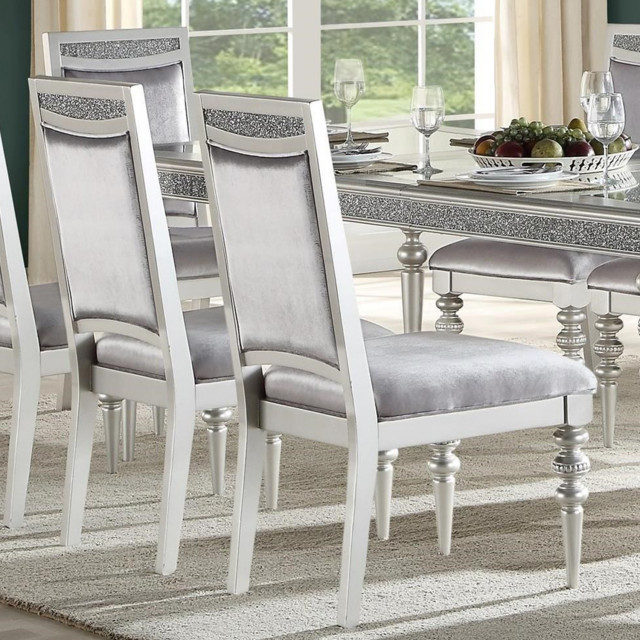 Set of 2 Upholstered Chair, Silver/Platinum Finish - Traditional ...