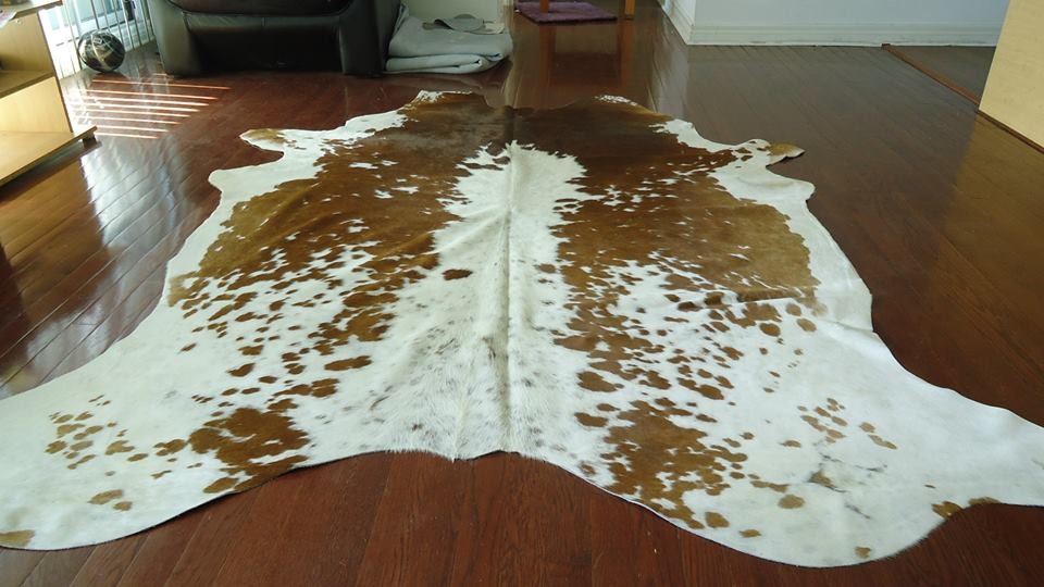 Summer Collection Brazilian Cowhide Rug Toronto by decorhut Houzz