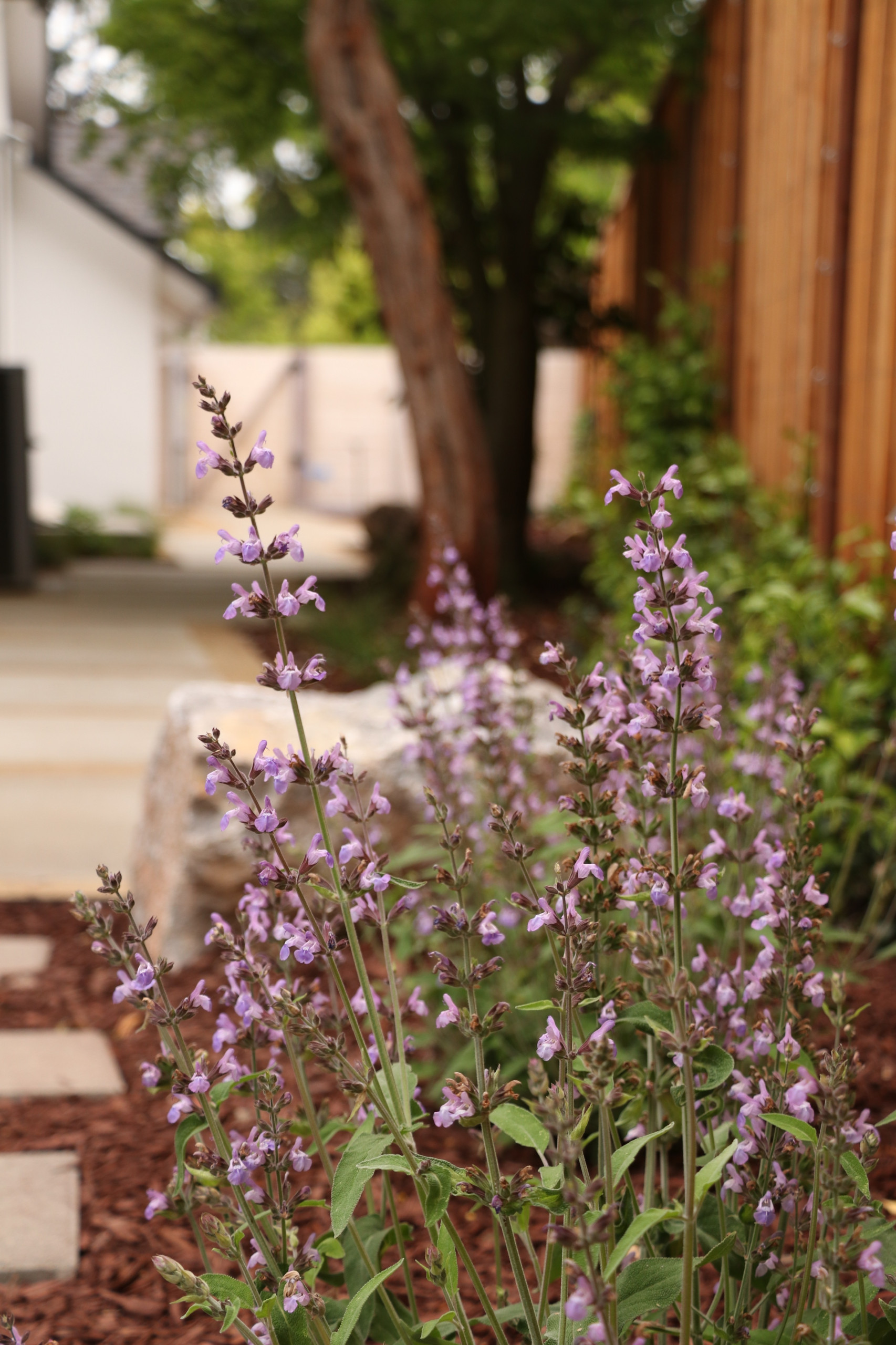 MODERN, MODERN, MODERN