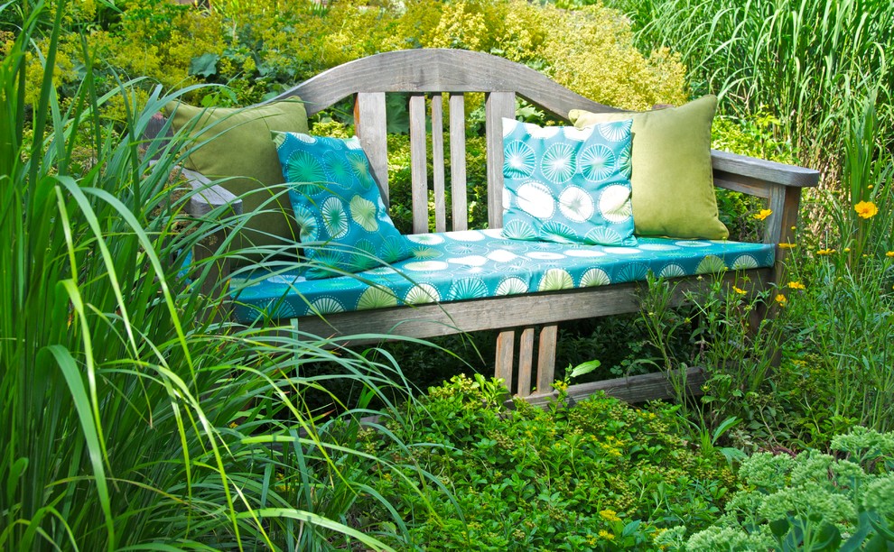 Shade to Sun - A Journey of a Perennial Garden