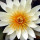 kelly_phinney65