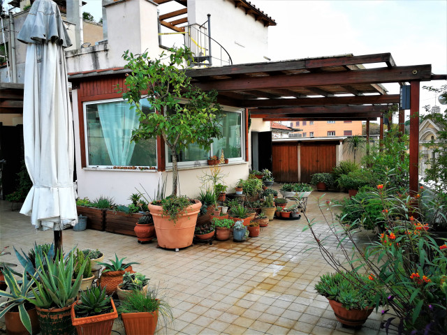Attico Mediterraneo Mix Cavour mediterraneo-terraza-y-balcon