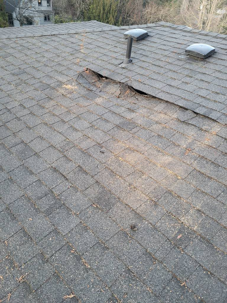 Roof Replacement