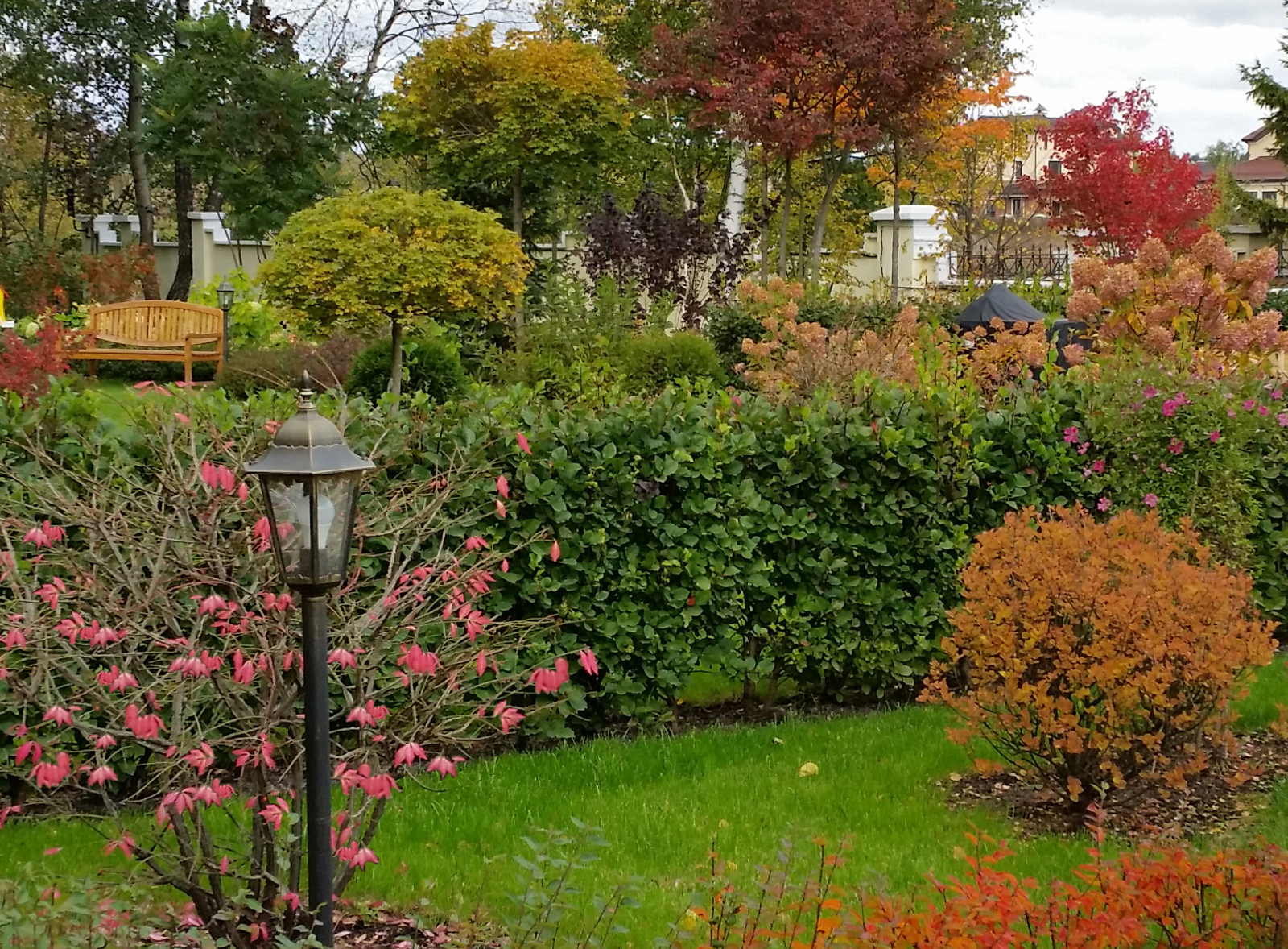 Заповедная