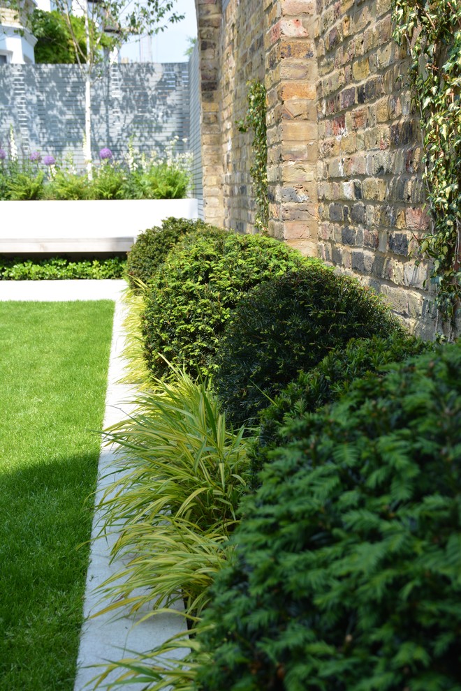 Design ideas for a medium sized contemporary garden in London.