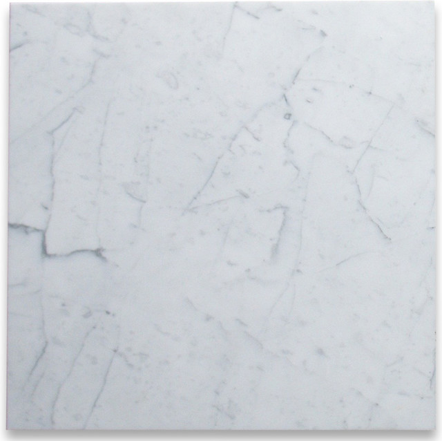 24x24 Carrara White Tile Polished Bianco Venato Carrera Marble Floor, 100  . - Traditional - Wall And Floor Tile - by Stone Center Online | Houzz