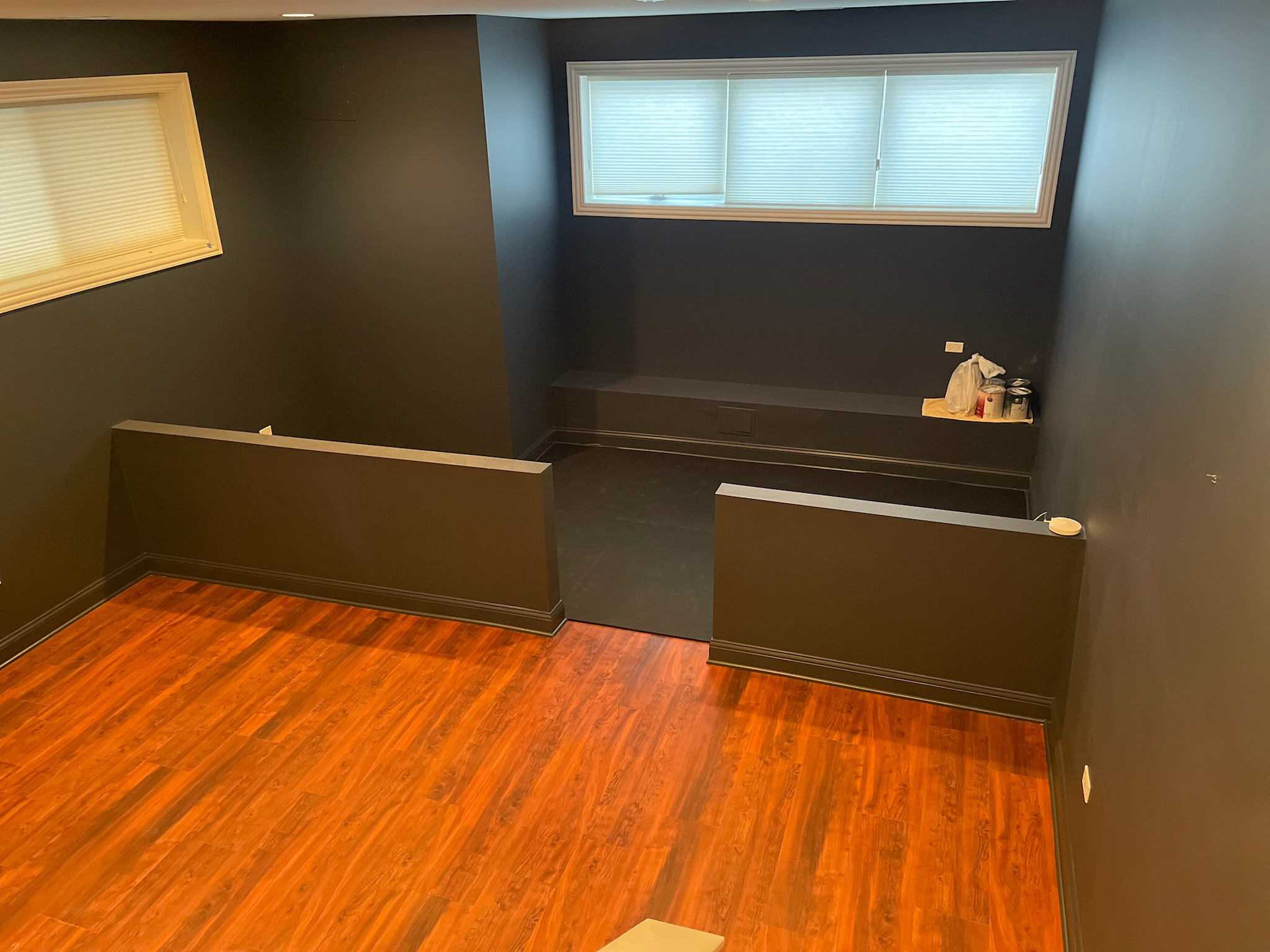Bucktown, basement remodel