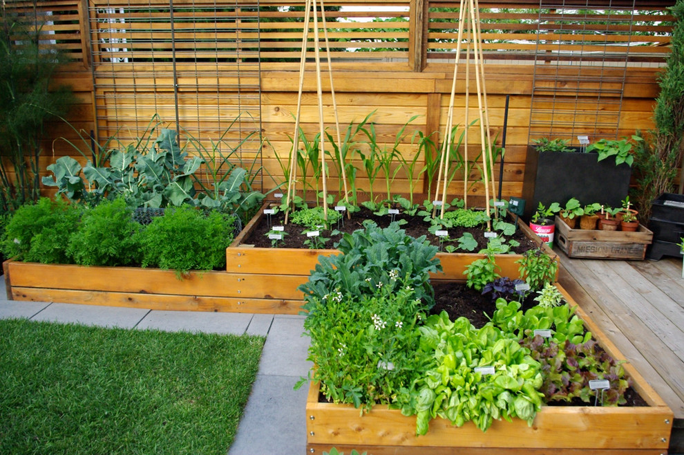 Design ideas for a contemporary garden in Vancouver with a vegetable garden and decking.