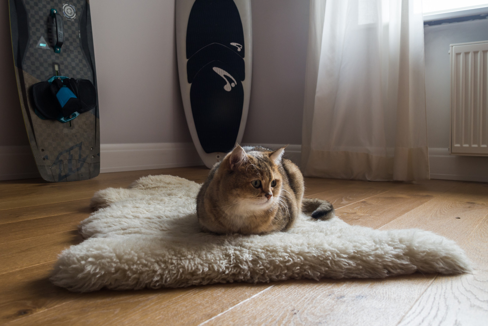 Квартира на Воскресенской