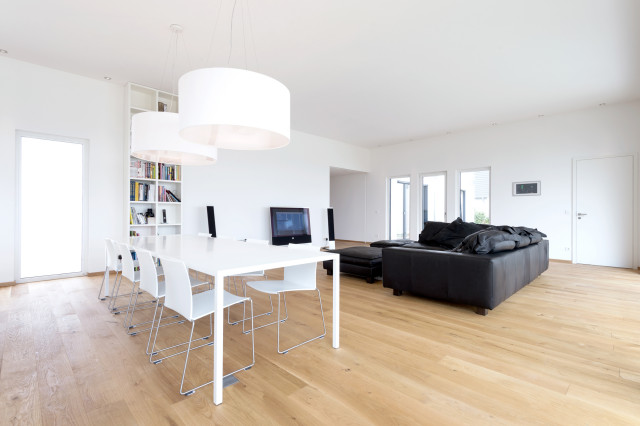 Haus Lichtenfels contemporary-living-room
