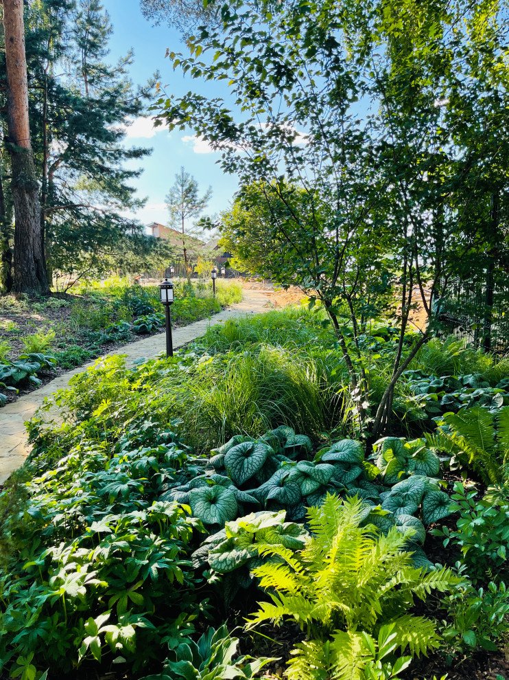 Массивы многолетних растений