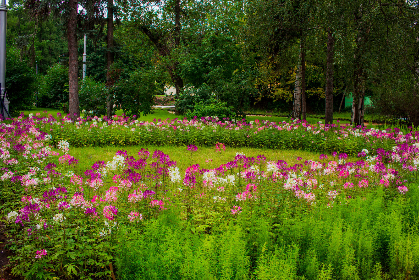 ЛАНДШАФТНЫЙ ПАРК ВДНХ Г.МОСКВА