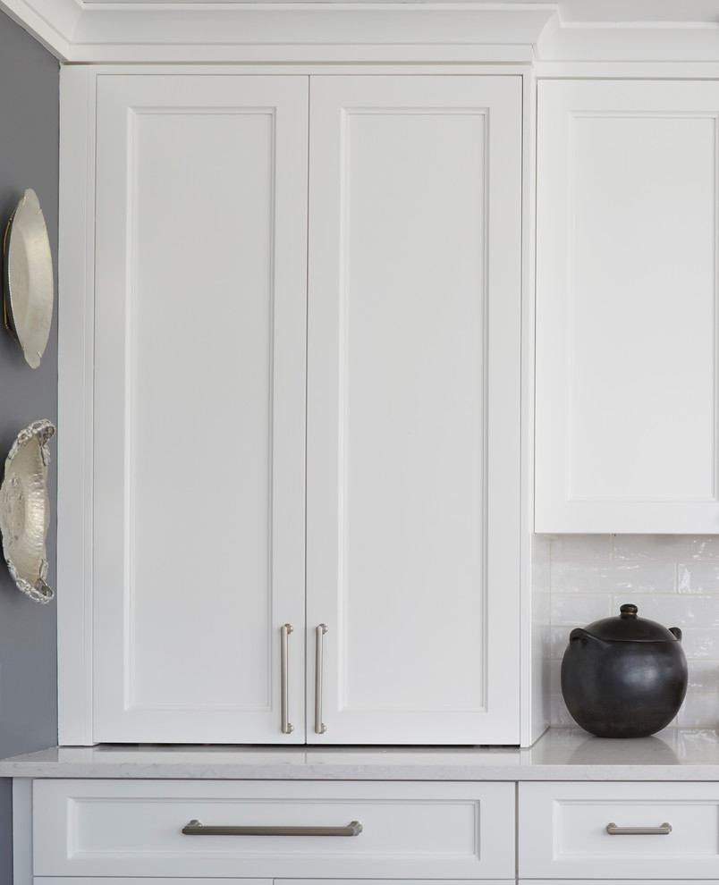 Example of a transitional home design design in Chicago