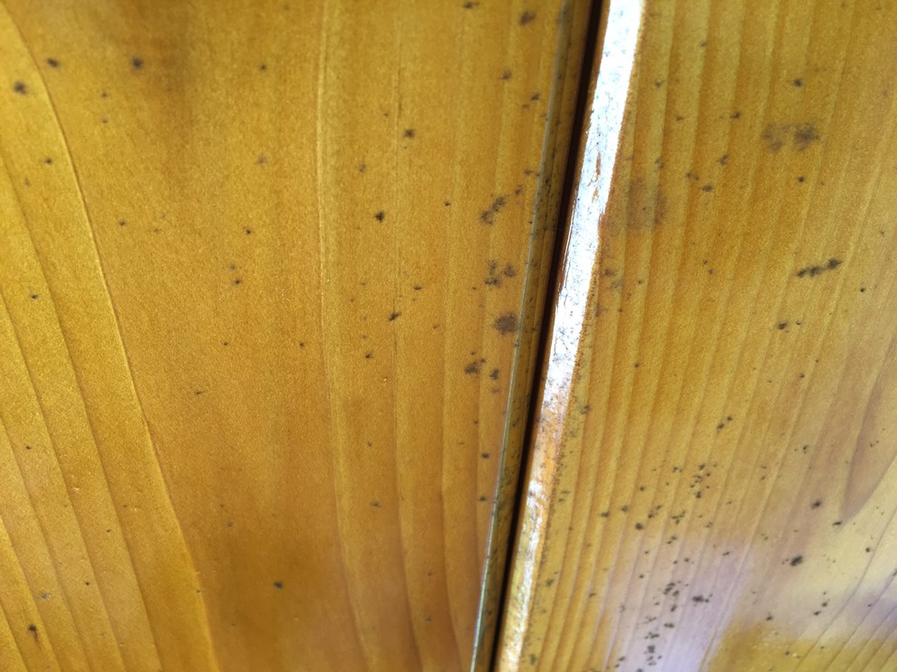 mold on outdoor cedar ceiling w polyurethane coating