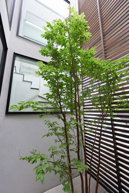 プライベートバルコニーを持つ家 moderne-terrasse-et-patio