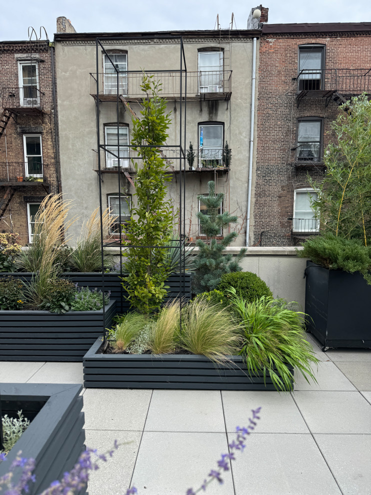 Carroll Gardens Rooftop Terrace