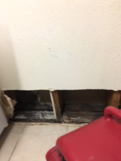 Water Leak Kitchen Restoration