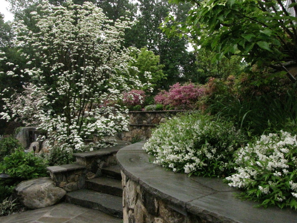 Backyard landscaping Traditional Landscape Newark by Summerset