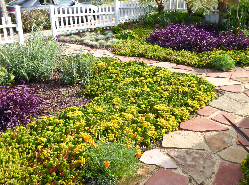 Small eclectic front yard full sun xeriscape in Santa Barbara with a garden path and natural stone pavers for summer.