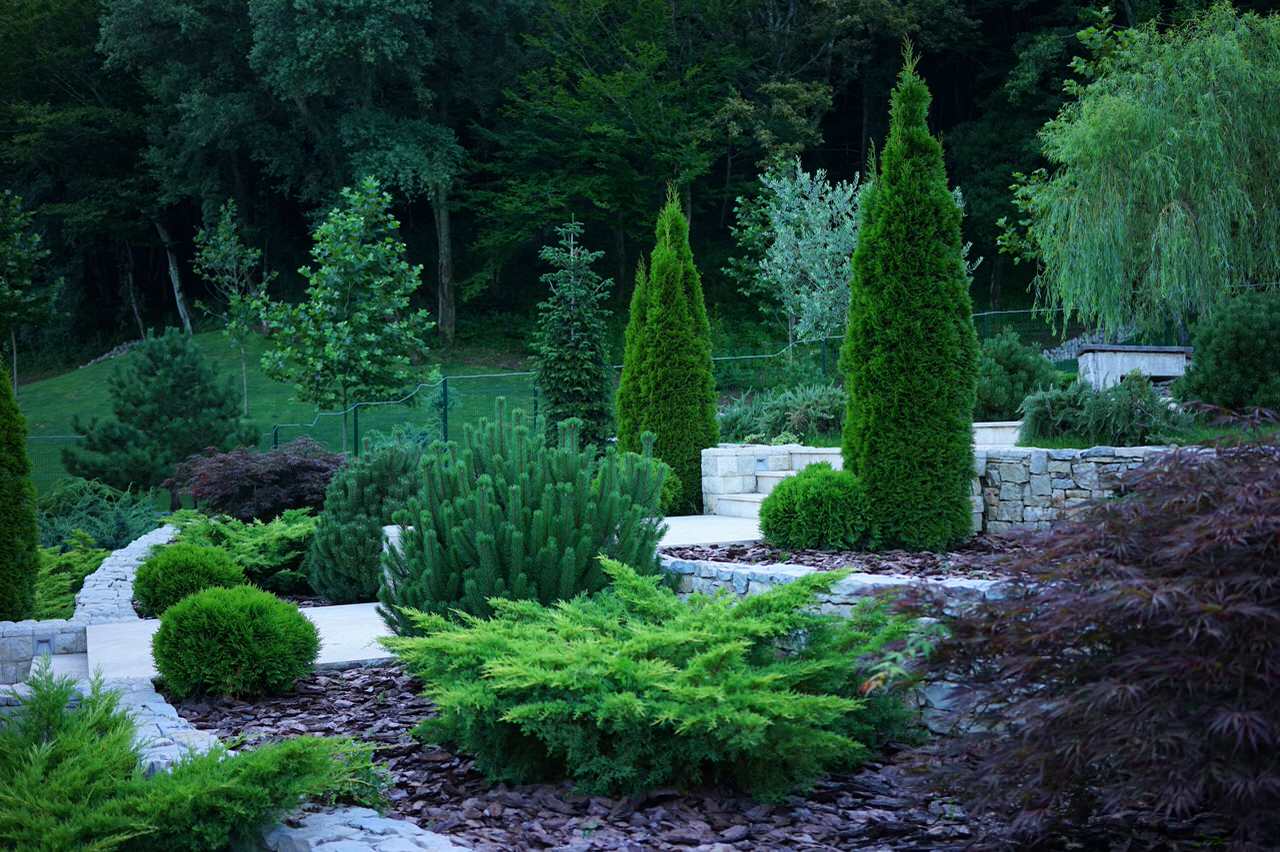 Лазурный Берег Сочи