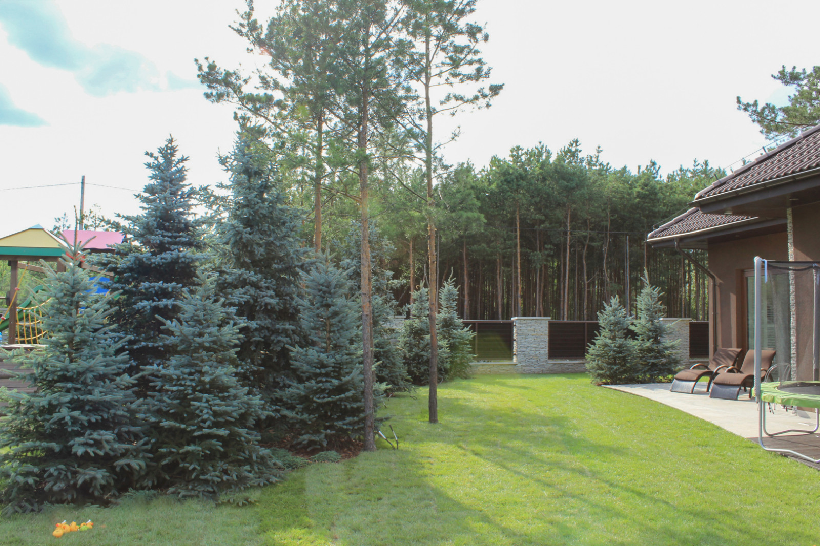 Черноголовка