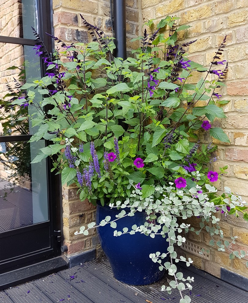 Inspiration for a small tropical balcony in London with a container garden and metal railing.