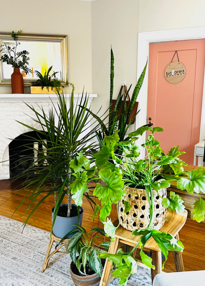 Palo Alto - Interiors for a Bungalow