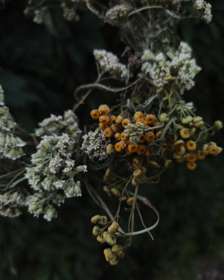 Декор из натуральных материалов