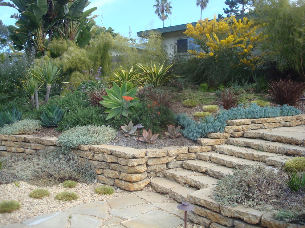 Photo of an eclectic garden in San Diego.