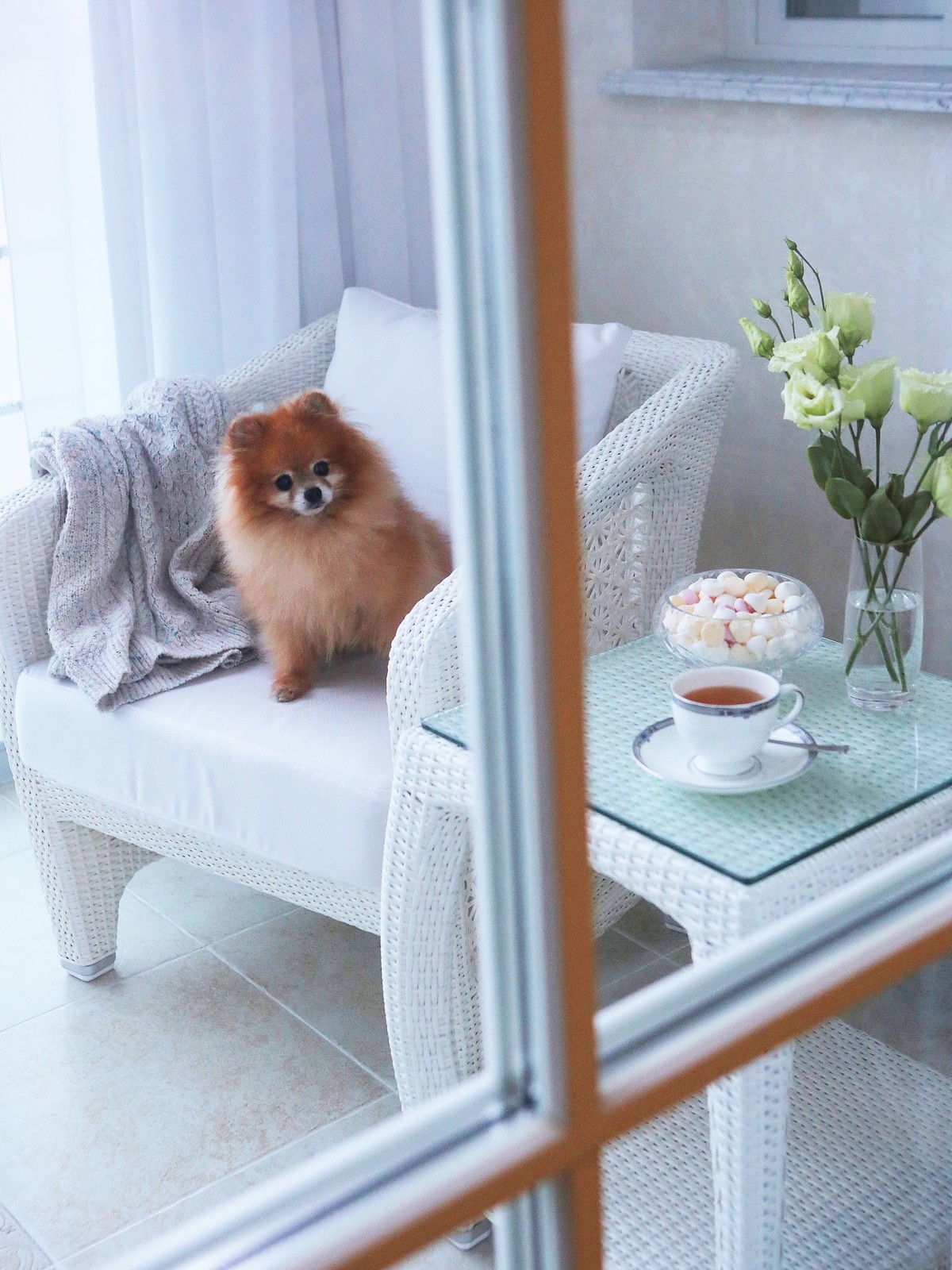 Классический стиль в интерьере квартиры и дома