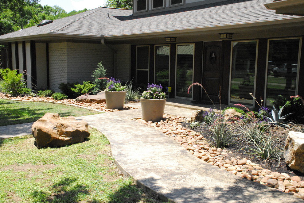 This is an example of a mid-sized midcentury front yard full sun xeriscape for spring in Dallas with a garden path and natural stone pavers.