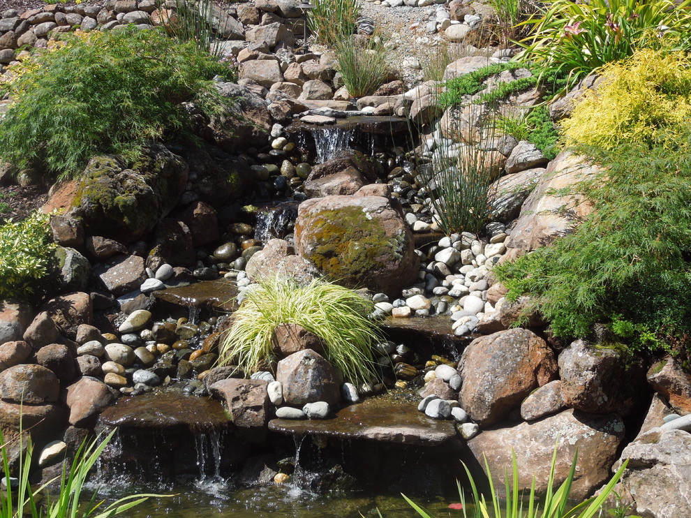 Hillside garden