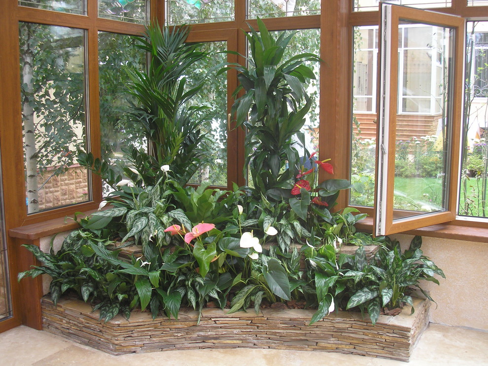 Зимние сады