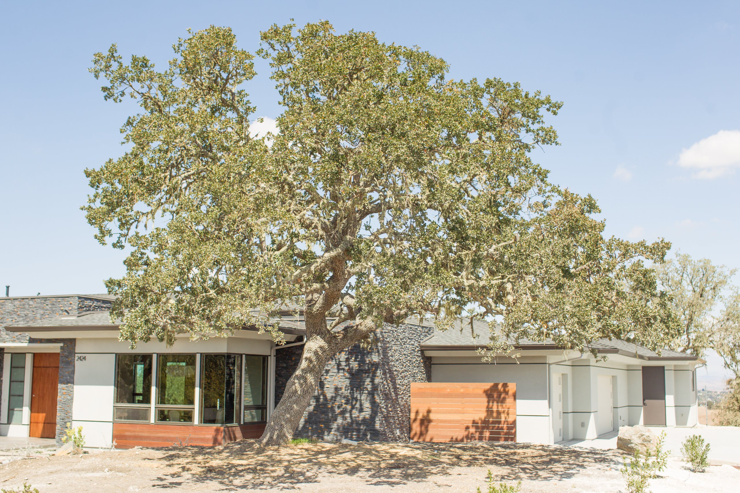 SYR Modern Prairie, Templeton