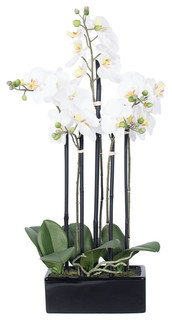 vickerman