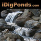 iDigPonds.com & Desired Landscapes LLC