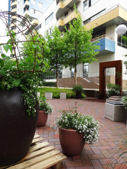 Парк ДК Новоспасский