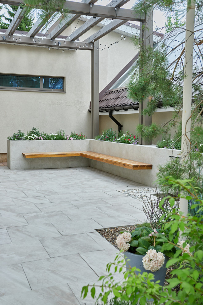 Чистые линии