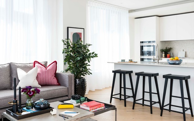 Modern apartment 1 contemporary-living-room