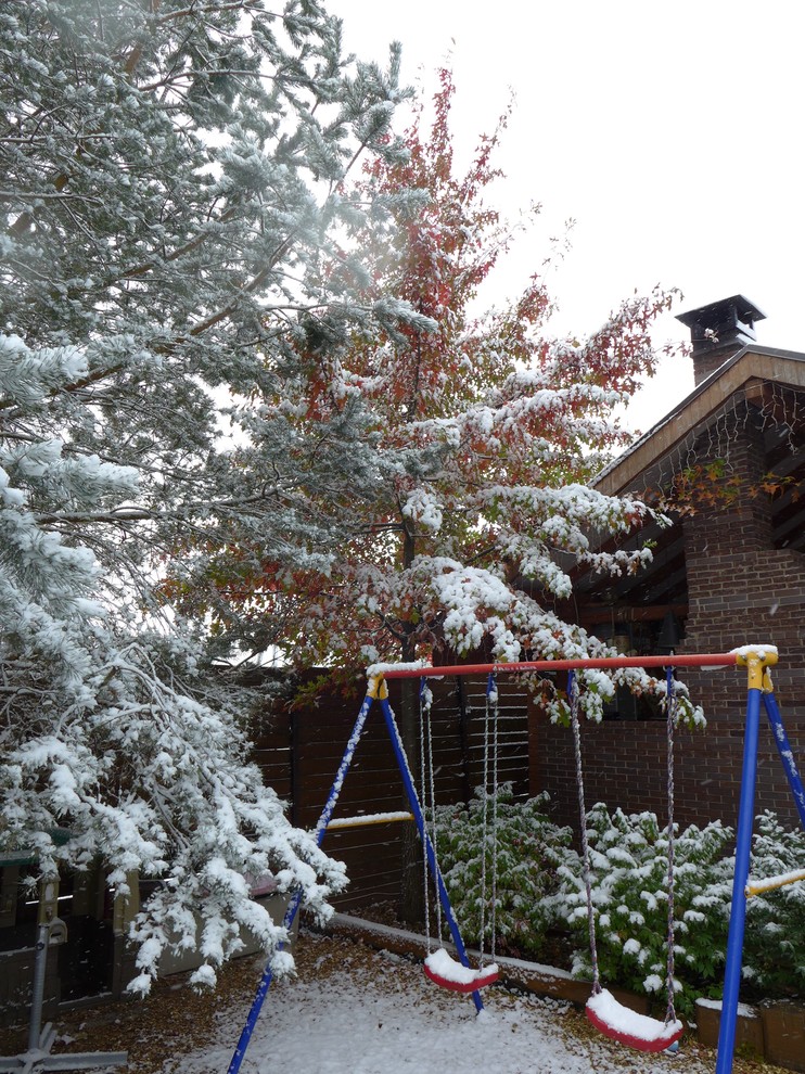 Буйство красочных форм в осеннем саду