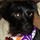 Missy Turcotte Guptill