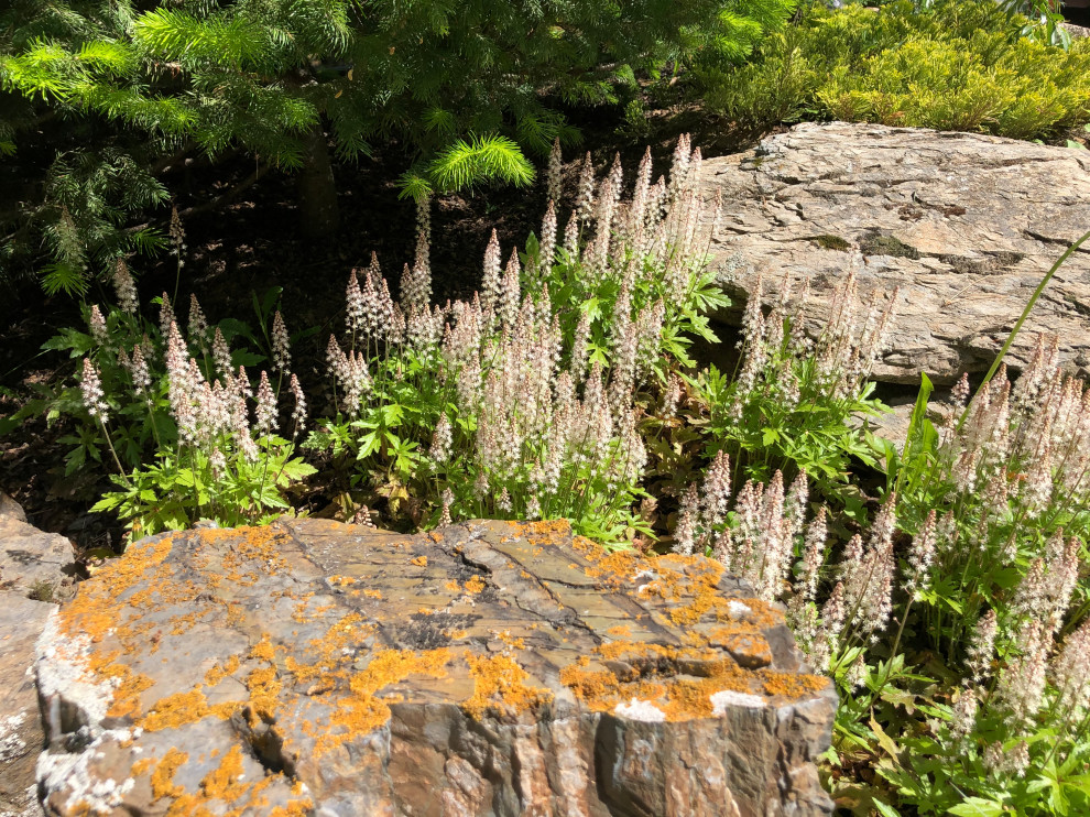 Усадьба на краю леса