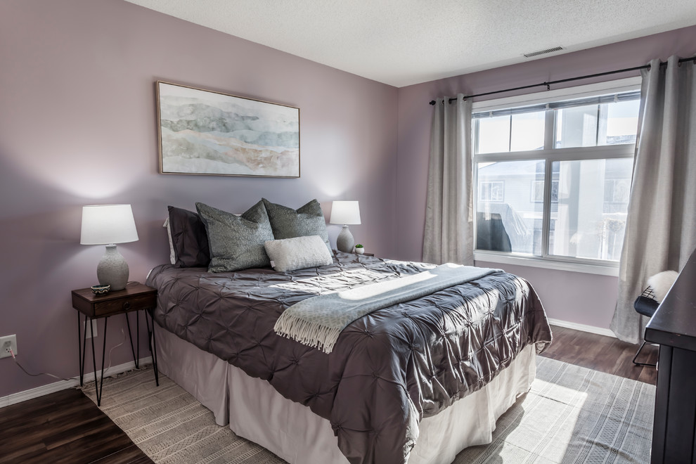 This is an example of a small transitional master bedroom in Edmonton with purple walls and laminate floors.