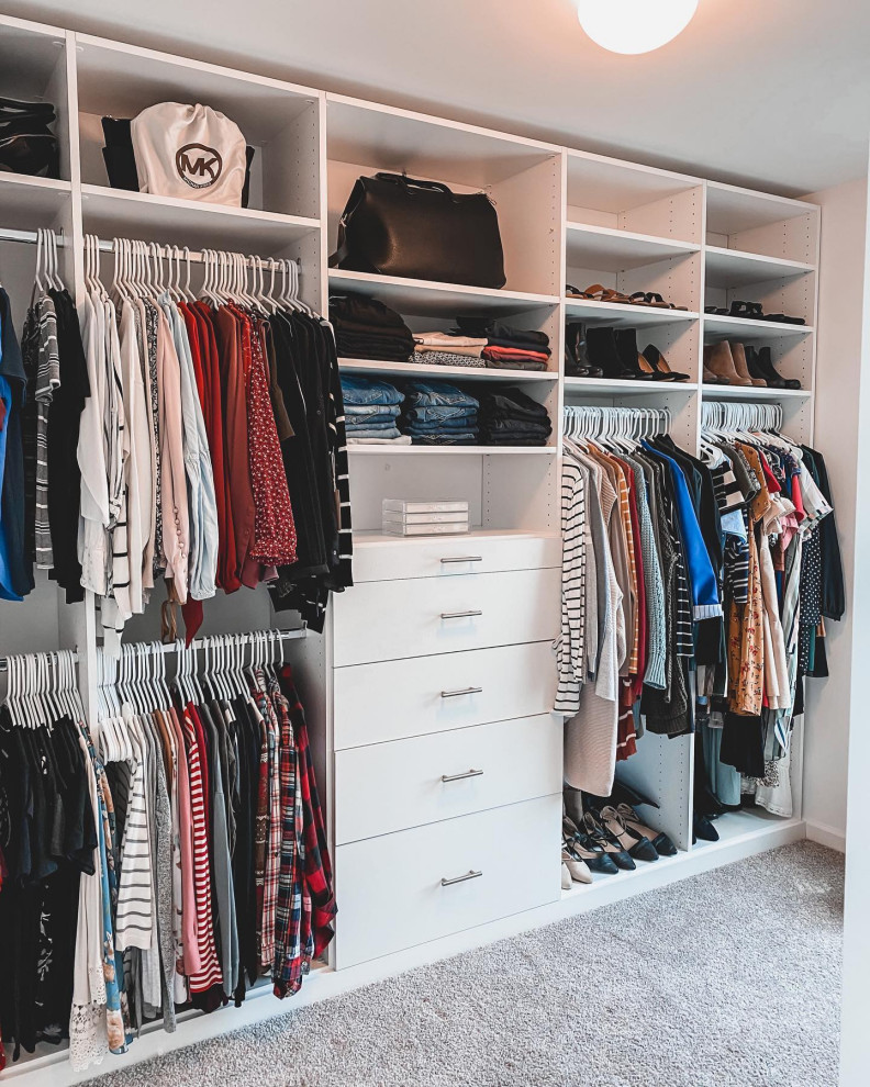 Design ideas for a modern storage and wardrobe in Los Angeles with flat-panel cabinets, white cabinets and carpet.